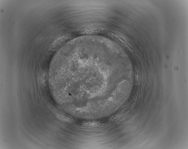 X0000074260503200609151805