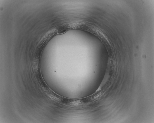 X0000074260505200609151805