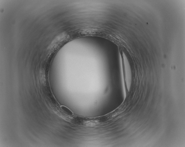 X0000074260508200609151805