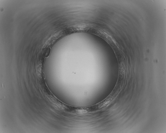 X0000074260509200609151805