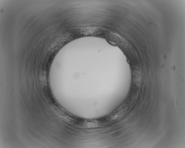 X0000074260510200609151805