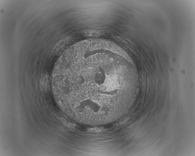 X0000074260511200609151804