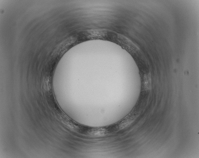 X0000074260514200609151804