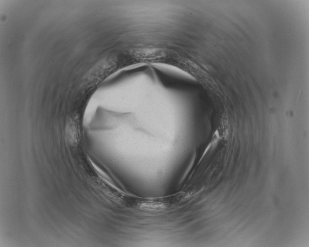 X0000074260515200609151804