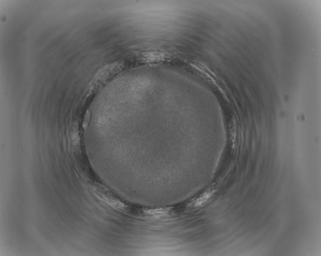 X0000074260516200609151804