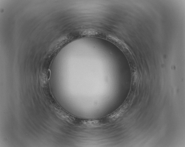 X0000074260517200609151804