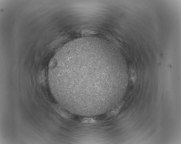 X0000074260519200609151804