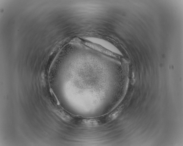 X0000074260520200609151804