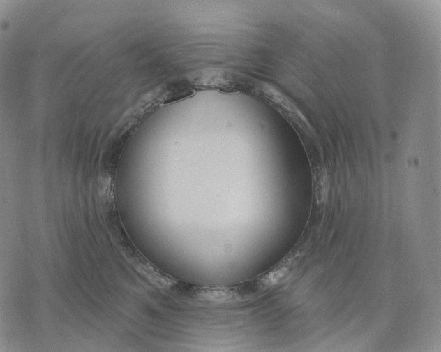 X0000074260521200609151804