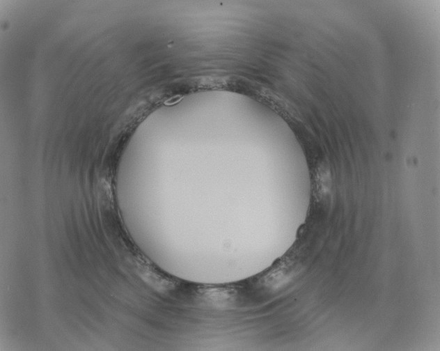 X0000074260522200609151804