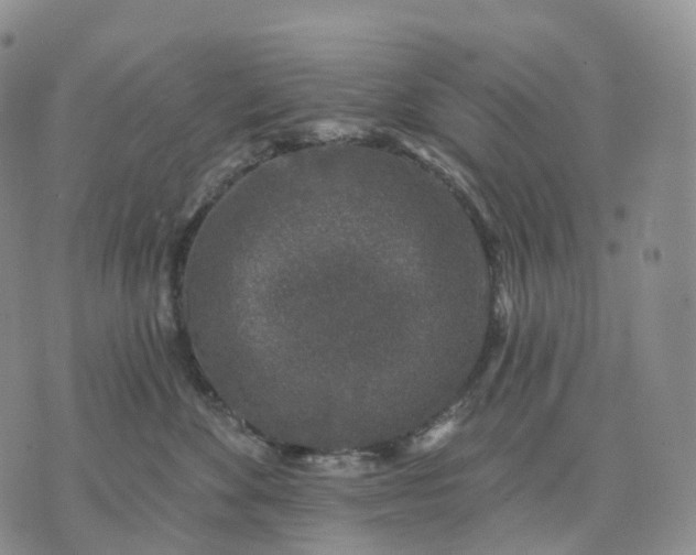 X0000074260524200609151804