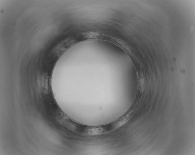 X0000074260525200609151804