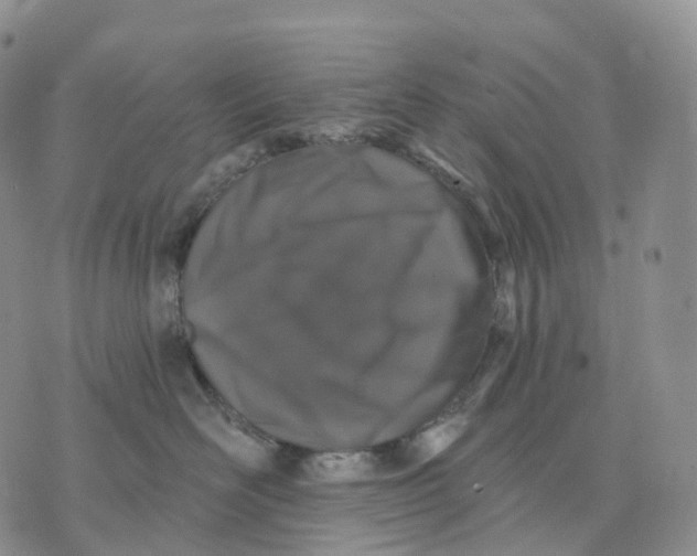 X0000074260526200609151804