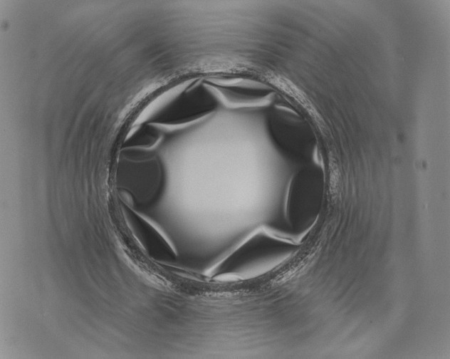 X0000074260530200609151803