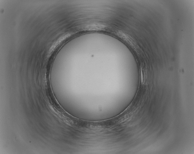 X0000074260531200609151803