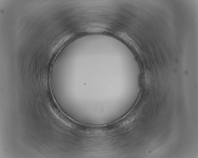 X0000074260533200609151804