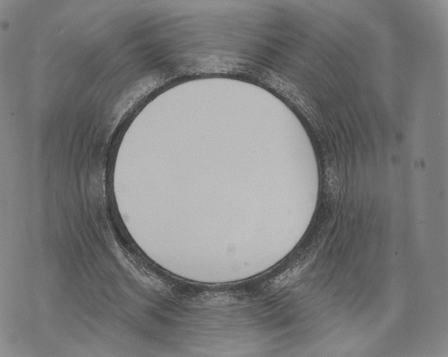 X0000074260534200609151804