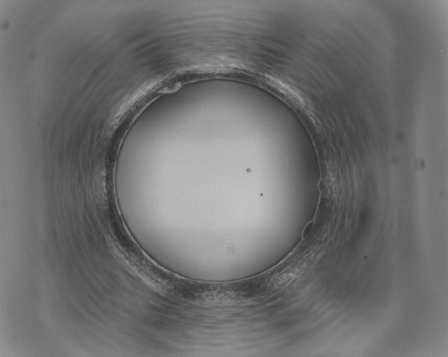 X0000074260535200609151804