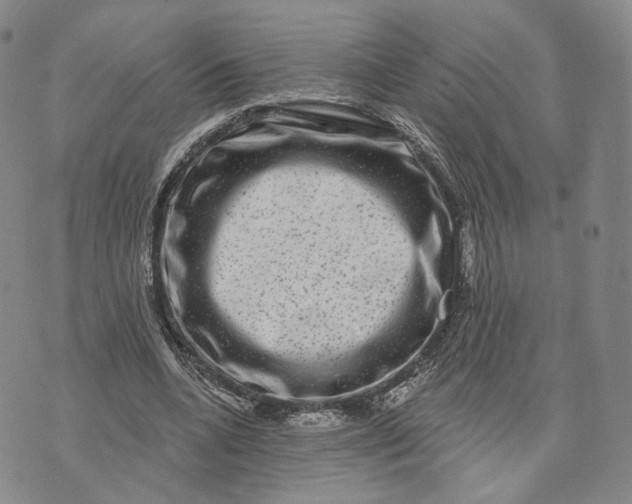 X0000074260536200609151804