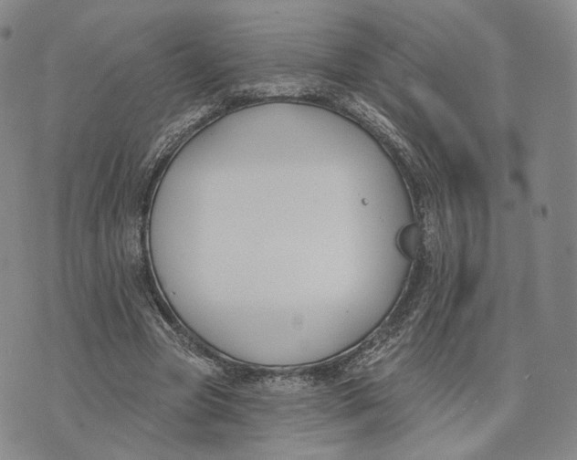 X0000074260537200609151804