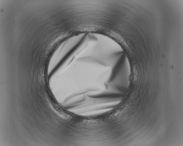 X0000074260538200609151804