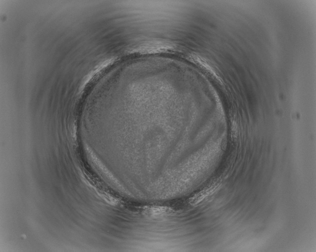 X0000074260539200609151804