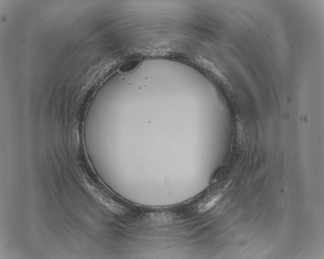 X0000074260541200609151804