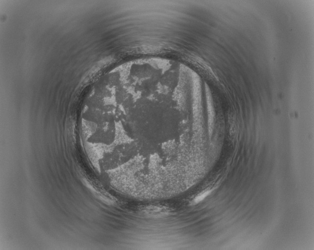 X0000074260542200609151804