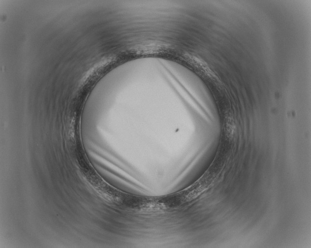 X0000074260543200609151804