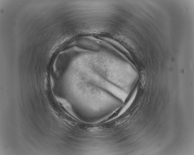 X0000074260544200609151804