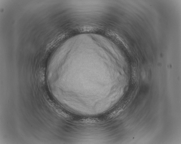 X0000074260545200609151804