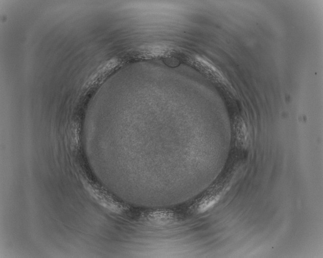 X0000074260546200609151804