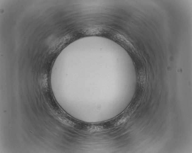 X0000074260549200609151804