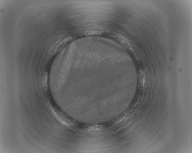 X0000074260550200609151804