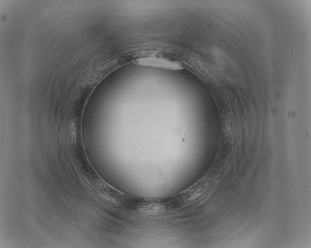 X0000074260551200609151804