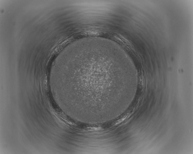 X0000074260552200609151804