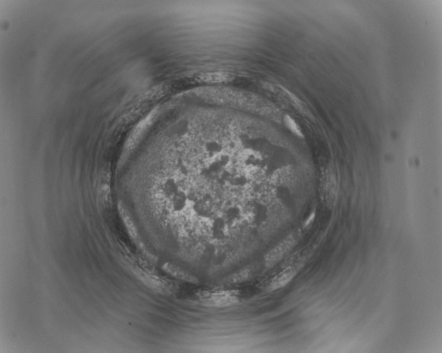 X0000074260553200609151804