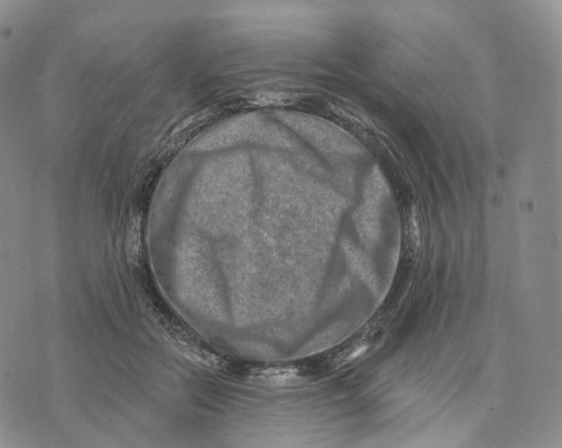 X0000074260554200609151804