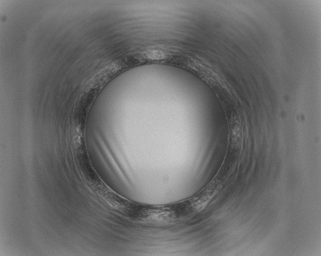 X0000074260555200609151804