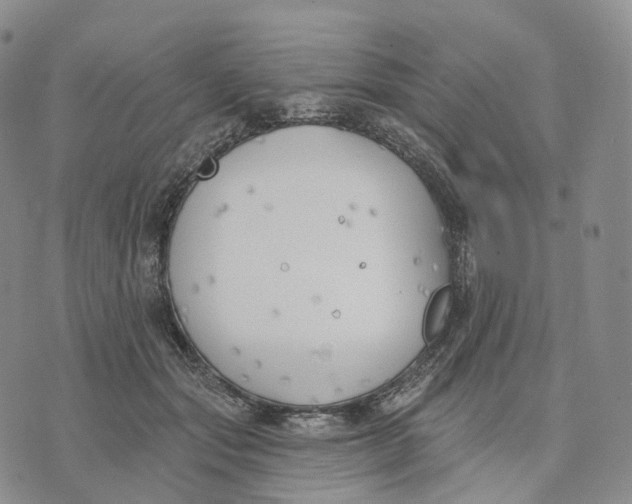 X0000074260557200609151804