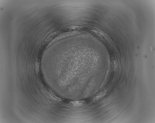 X0000074260558200609151804