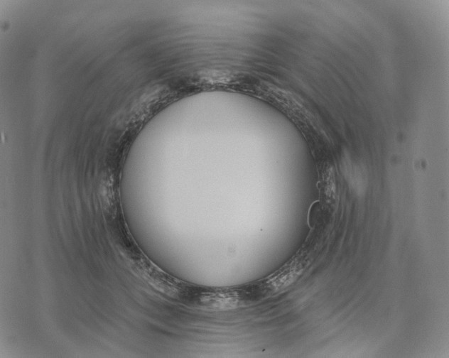 X0000074260559200609151804