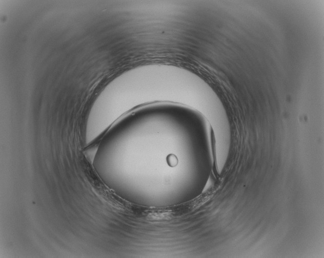 X0000074260560200609151804