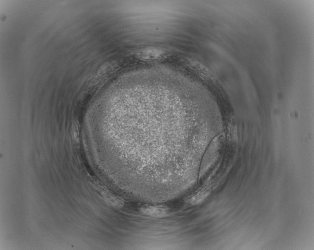 X0000074260561200609151804