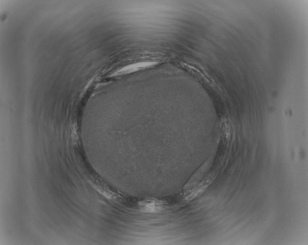 X0000074260564200609151804