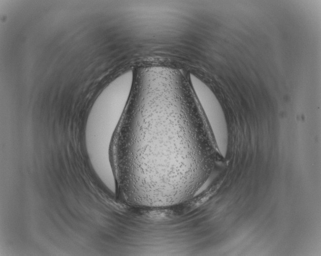 X0000074260566200609151804