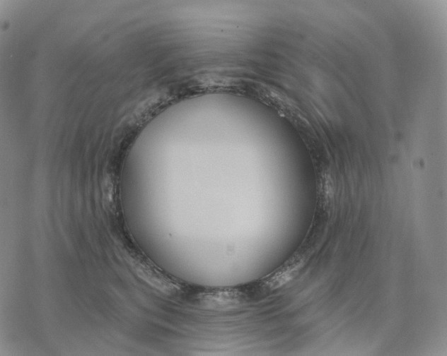 X0000074260567200609151804