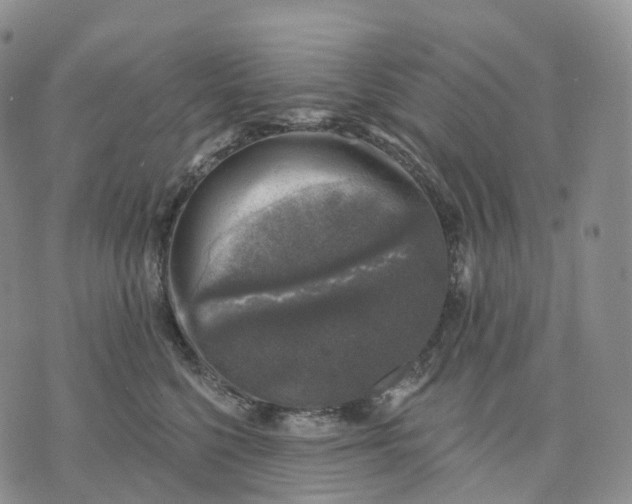 X0000074260568200609151804