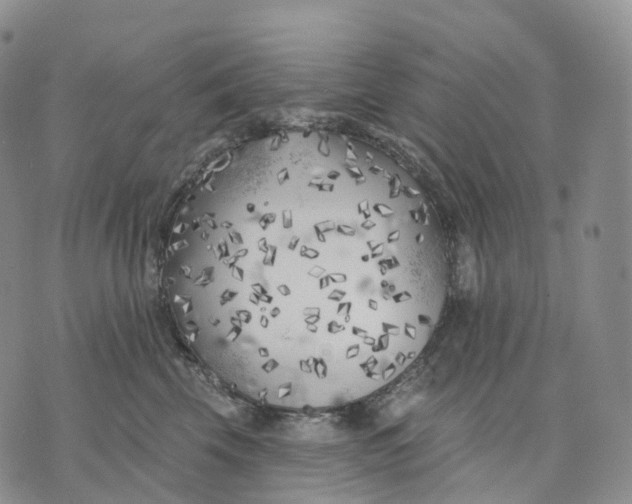 X0000074260569200609151804