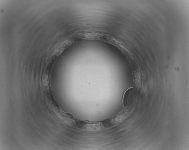 X0000074260571200609151804